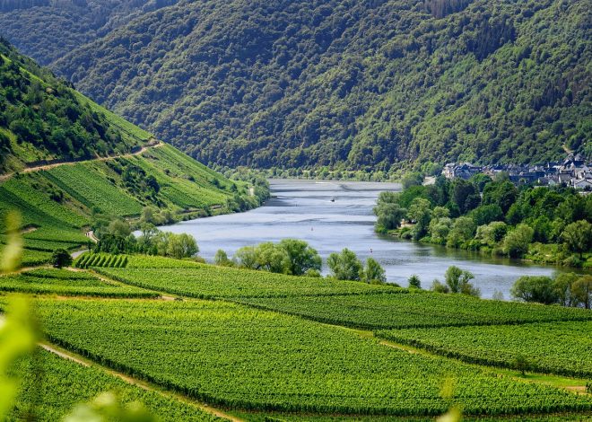 Come le aziende possono promuovere il turismo responsabile