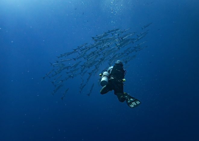 Scoprire nuovi orizzonti: viaggiando nello sconosciuto