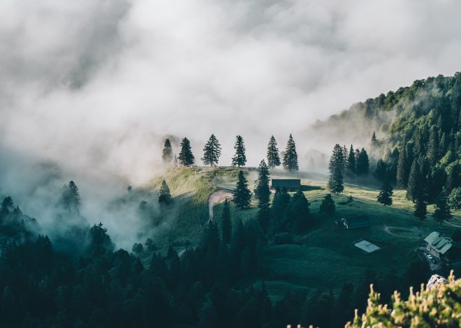 Come organizzare un viaggio di scoperta culturale indimenticabile