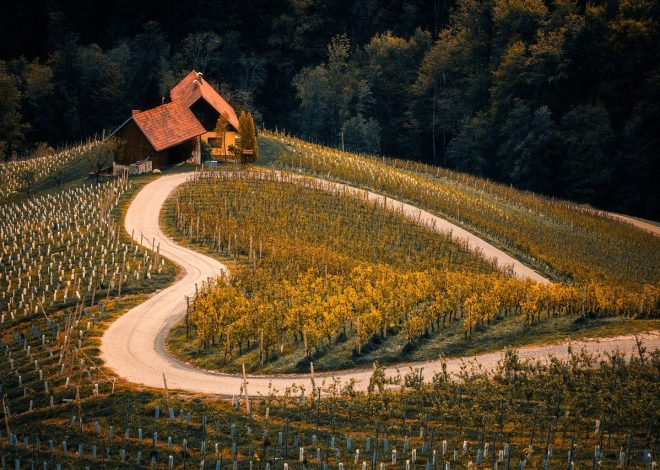 Guida completa per esplorare i paesaggi nuovi