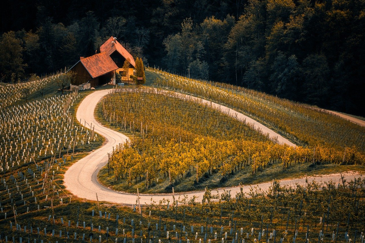 Guida completa per esplorare i paesaggi nuovi