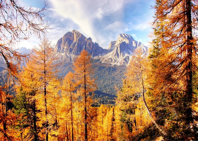 I segreti delle esperienze di viaggio autentiche
