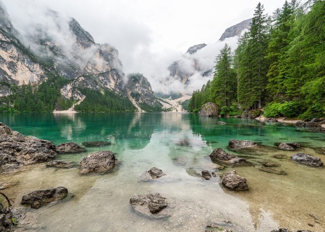 Scopri i segreti della natura incontaminata durante i tuoi viaggi