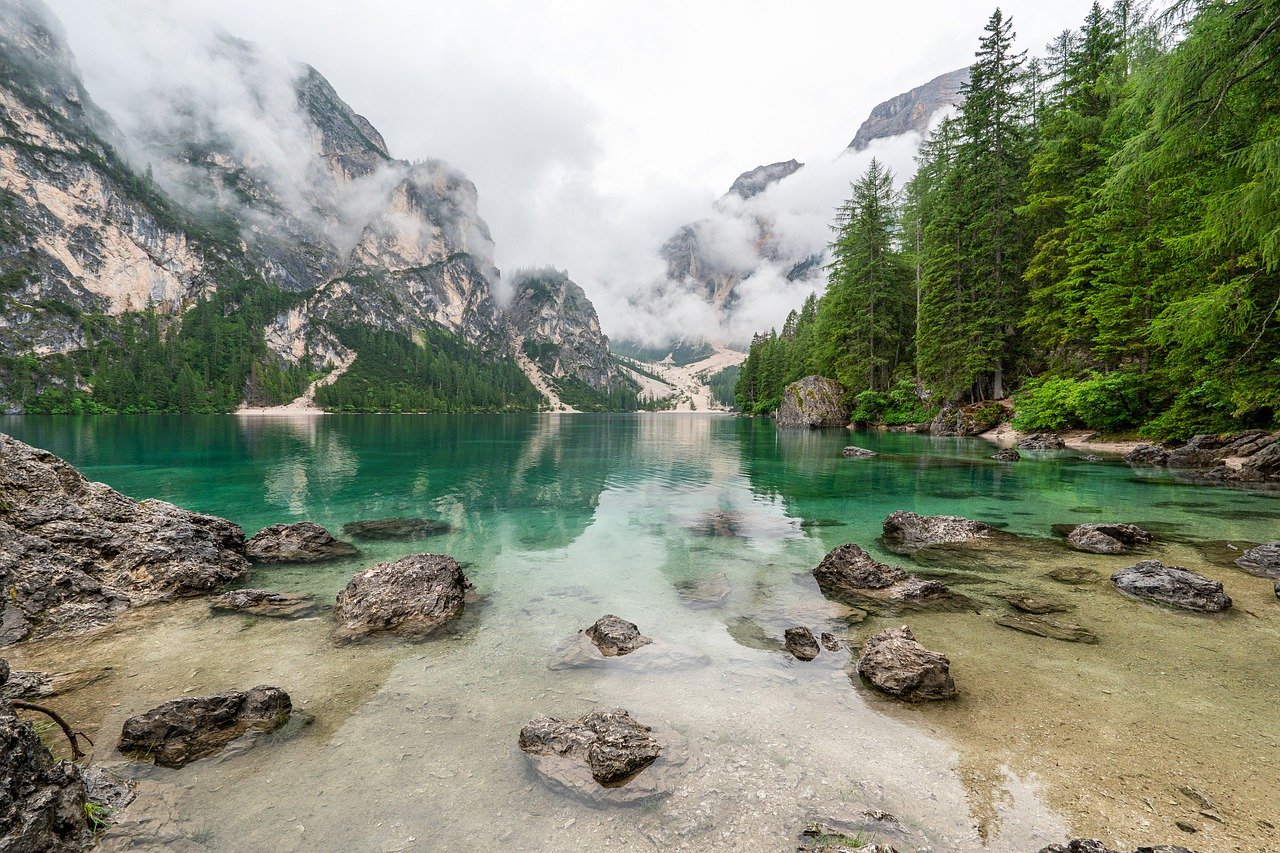 Scopri i segreti della natura incontaminata durante i tuoi viaggi