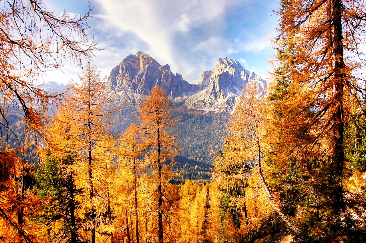 Scopri le esperienze di viaggio più autentiche
