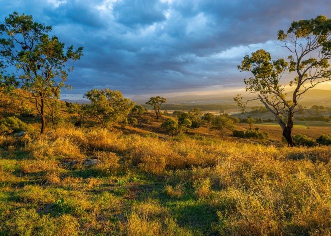 Viaggiando tra paesaggi intatti: le mete imperdibili per gli amanti della natura