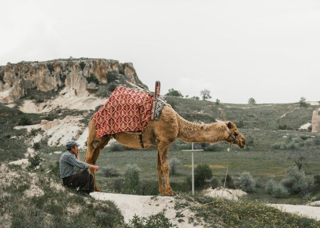 Viaggiare per scoprire la cultura: 5 esperienze da fare assolutamente