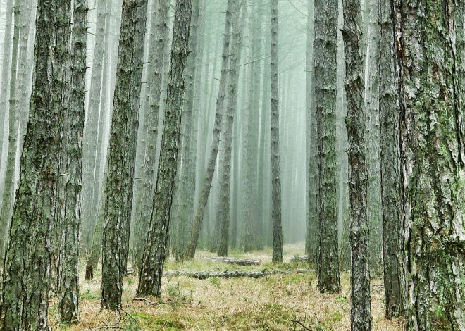 Immersi nella natura: avventure da non perdere