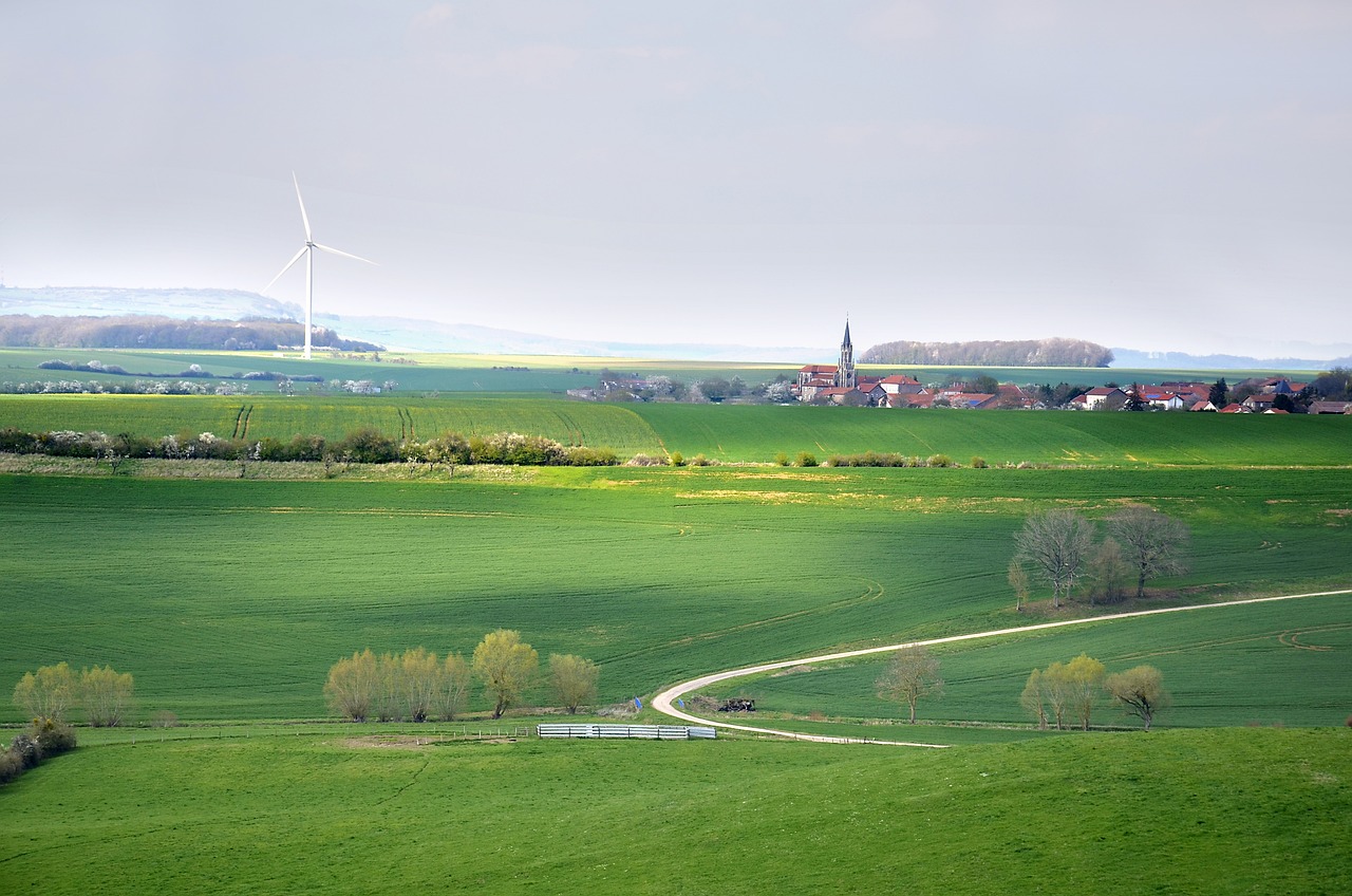 Come ridurre l’impatto ambientale dei tuoi viaggi