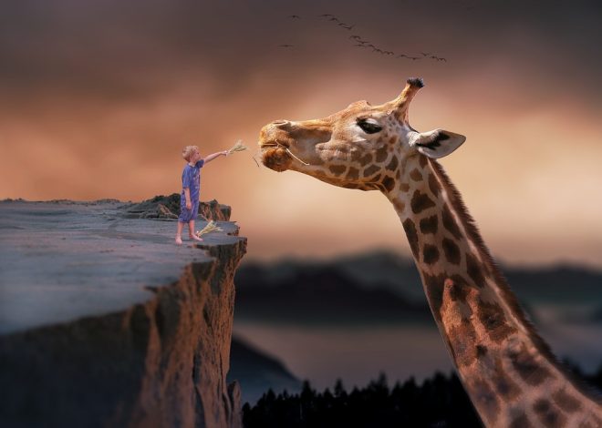 I luoghi da sogno da scoprire