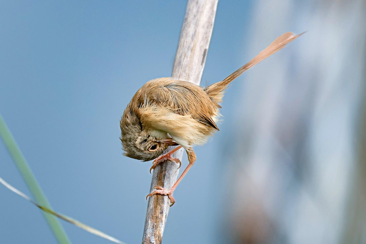 Scopri le meraviglie della natura selvaggia