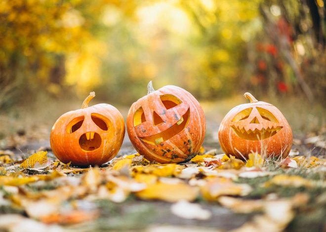 Scopri le meravigliose tradizioni di diverse culture