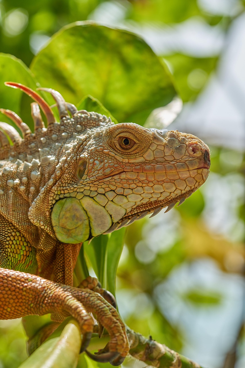 1. Scopri le meraviglie della natura selvaggia