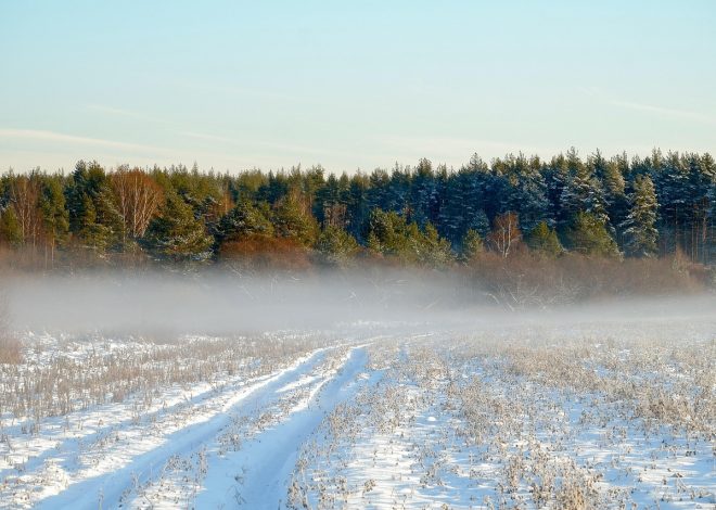 Avventurarsi nella natura selvaggia: consigli pratici e esperienze indimenticabili