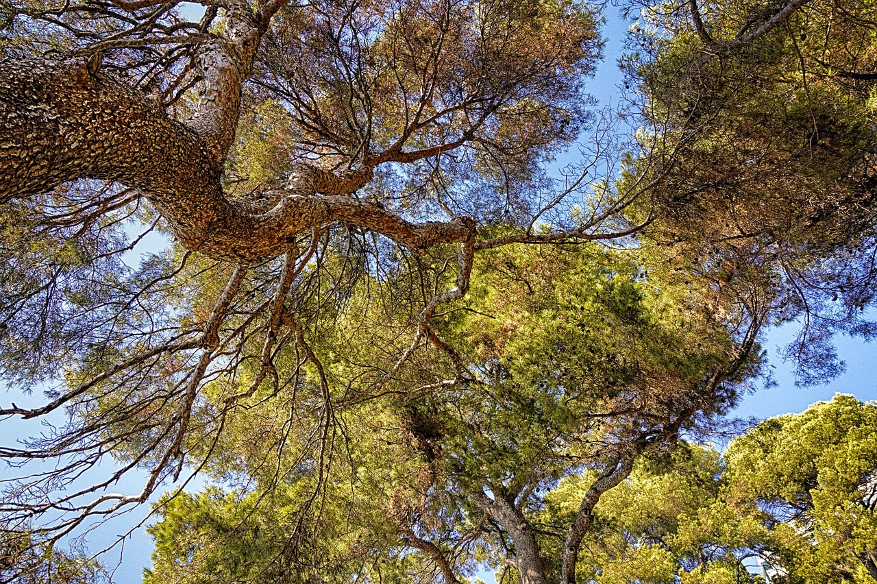 Come praticare il turismo responsabile ed ecologico