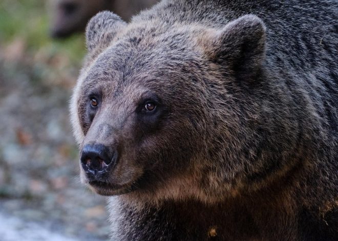 Esplora i luoghi più suggestivi della natura incontaminata