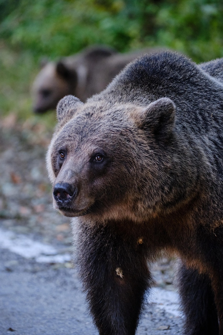 Esplora i luoghi più suggestivi della natura incontaminata