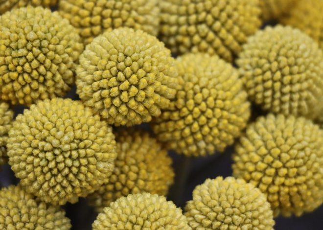 Esplorare la bellezza della natura intatta
