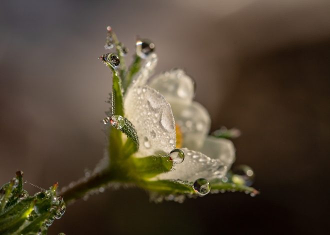 Esplorare la bellezza naturale: 5 luoghi imperdibili