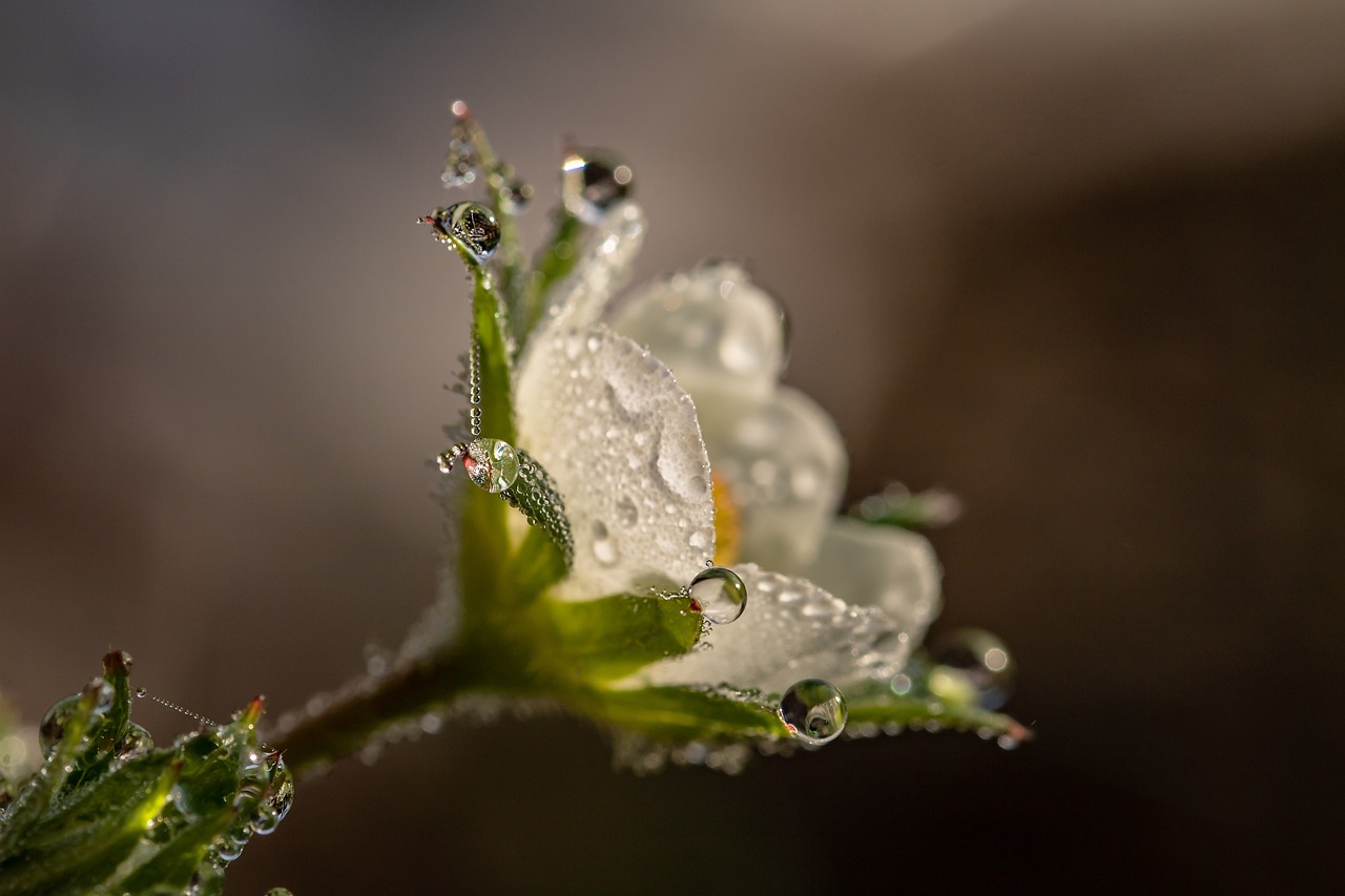 Esplorare la bellezza naturale: 5 luoghi imperdibili