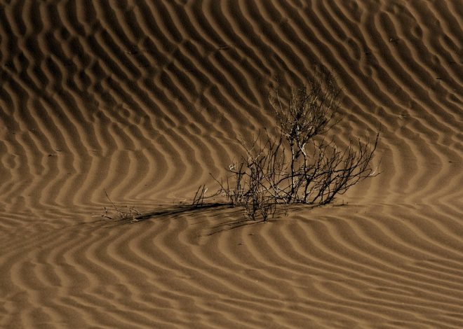 Esplorare la bellezza naturale incontaminata