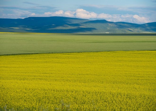 I vantaggi dei viaggi di esplorazione interna per la mente e lo spirito