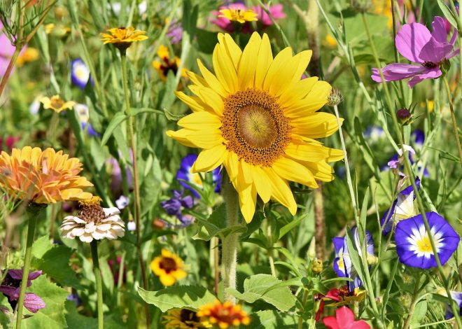 La bellezza della natura selvaggia: 3 luoghi imperdibili da visitare
