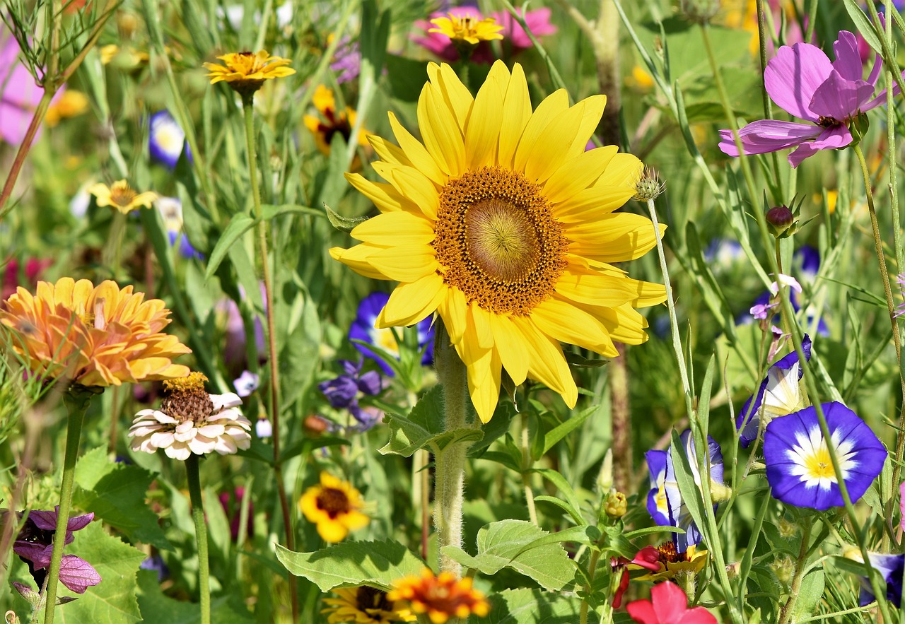 La bellezza della natura selvaggia: 3 luoghi imperdibili da visitare