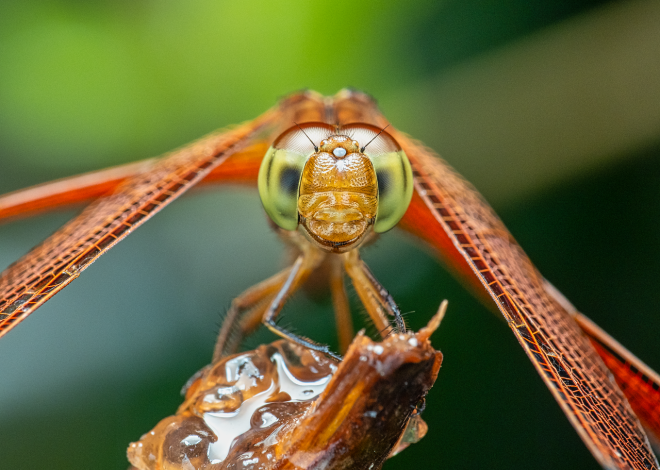 Scopri le meraviglie della natura incontaminata