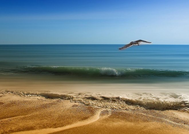 Destinazioni esotiche per viaggi indimenticabili