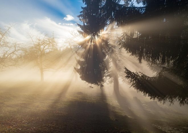 Esplora luoghi incantevoli nella natura selvaggia