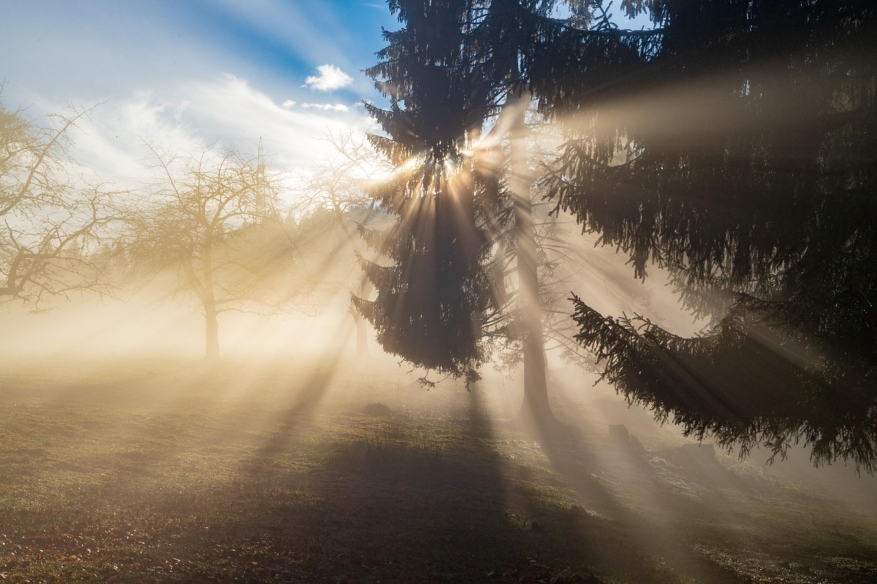 Esplora luoghi incantevoli nella natura selvaggia