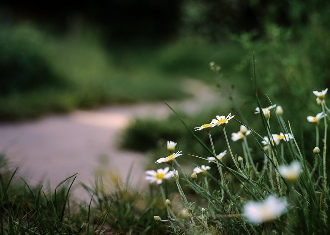 Gli itinerari più avvincenti nella natura incontaminata