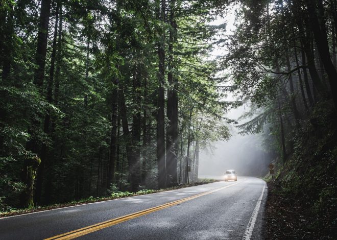 I 10 viaggi speciali più belli da fare almeno una volta nella vita