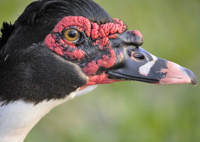 Le mete più insolite da visitare nel mondo
