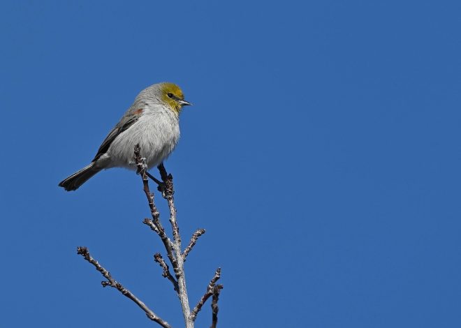 Scopri l’avventura nel cuore della natura