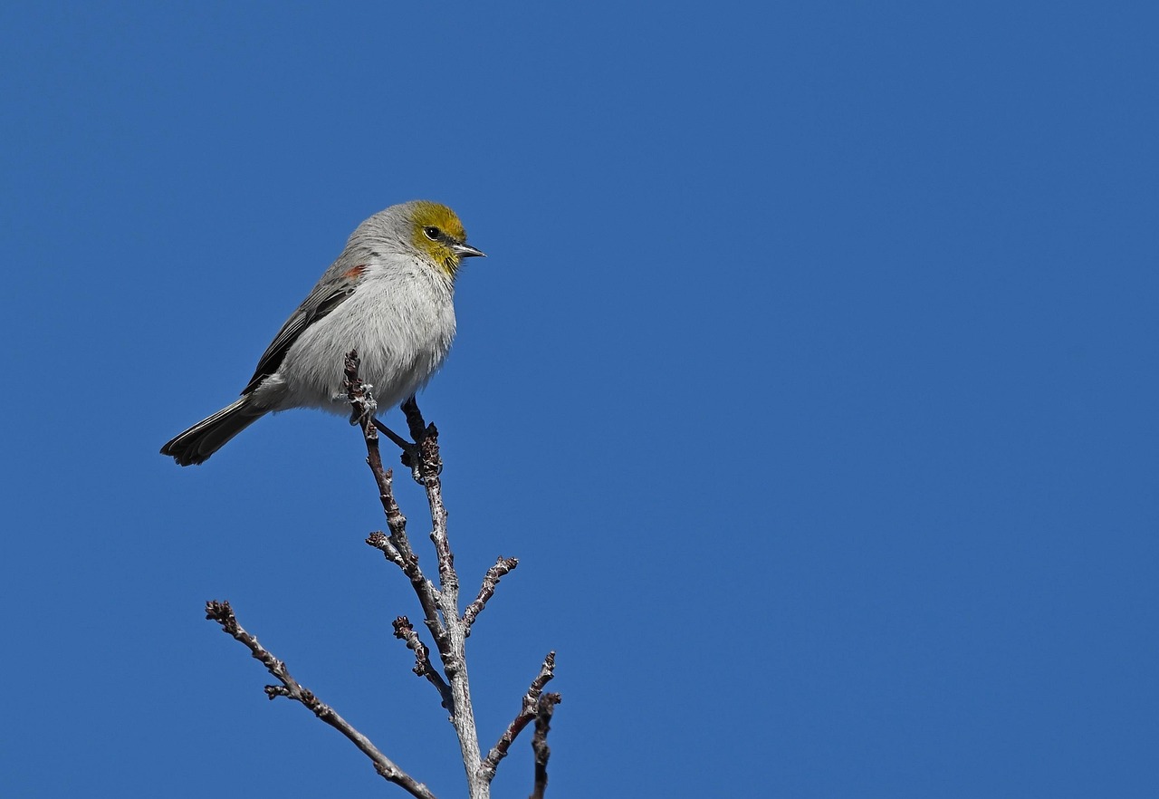 Scopri l’avventura nel cuore della natura