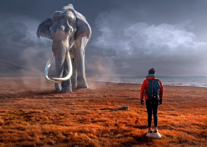 Un viaggio alla ricerca del fantastico