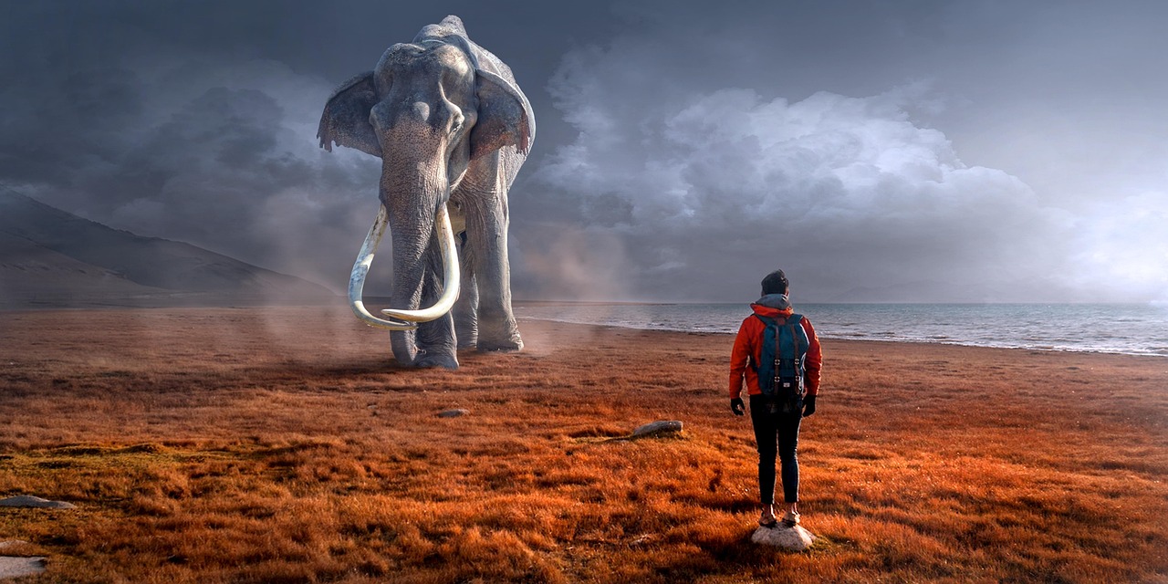 Un viaggio alla ricerca del fantastico