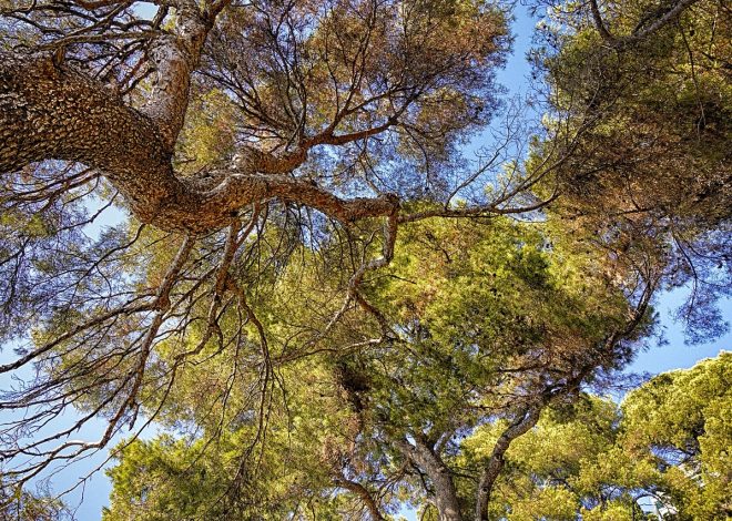 Come praticare un turismo responsabile ed ecosostenibile