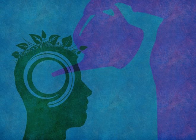Cosa significa essere un turista responsabile ed ecosostenibile