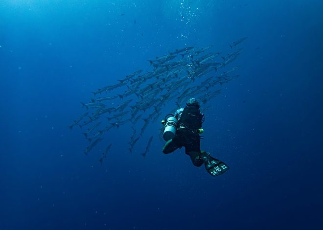 Esplorare i luoghi sconosciuti: alla ricerca dei tesori nascosti