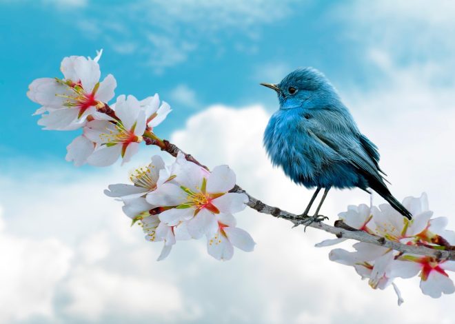 Le meraviglie segrete della natura da esplorare