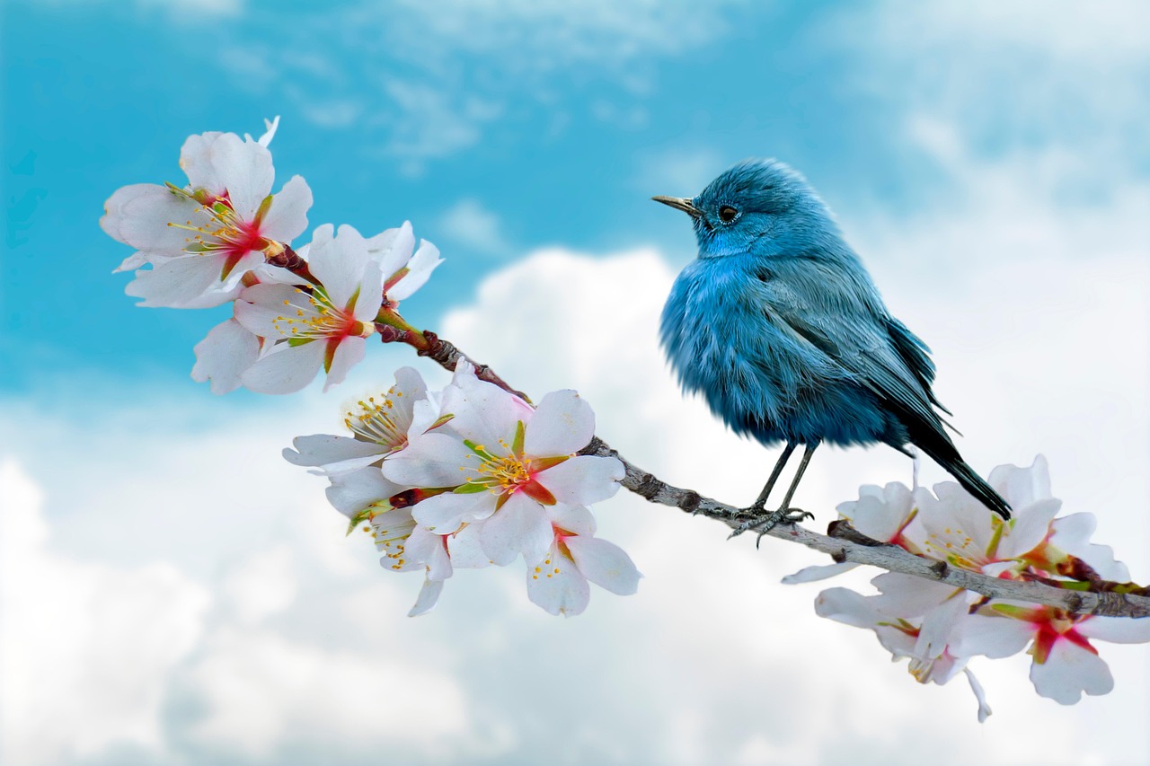 Le meraviglie segrete della natura da esplorare