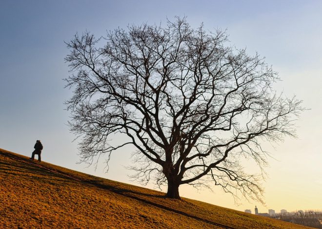 Alla scoperta dell’ignoto: viaggiando verso l’incredibile