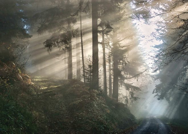 Il fascino dei luoghi incantati: scopri le destinazioni più misteriose del mondo
