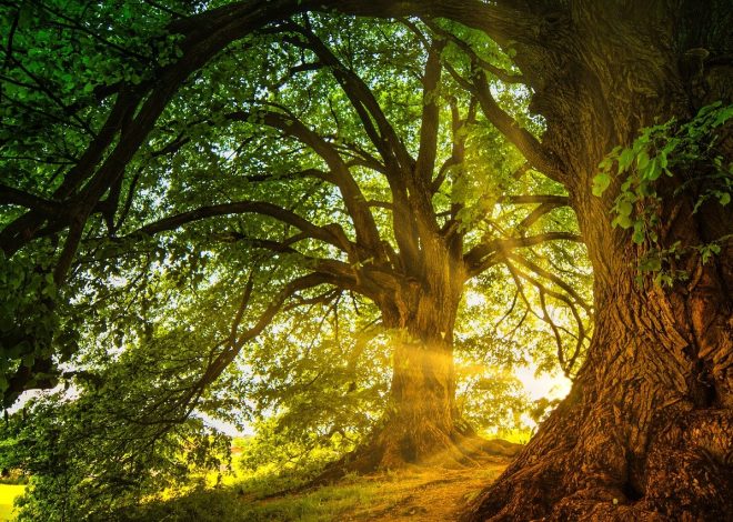 La magia dei luoghi incantati nel mondo