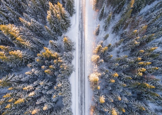 La scoperta interiore: Viaggiare nell’anima per trovare la felicità