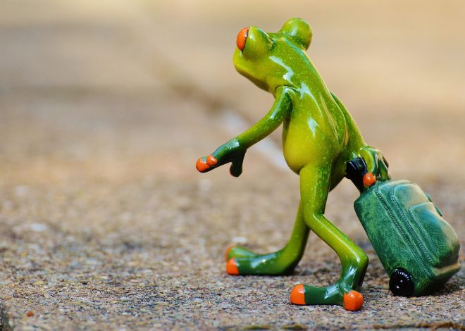 Come viaggiare responsabilmente nel rispetto della natura