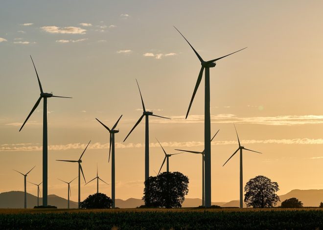 Le migliori destinazioni per un viaggio etico e sostenibile: scopri luoghi in armonia con l’ambiente